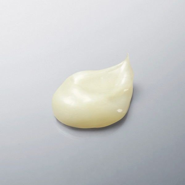 FANCL ファンケル 洗顔クリーム 90g 4908049438487