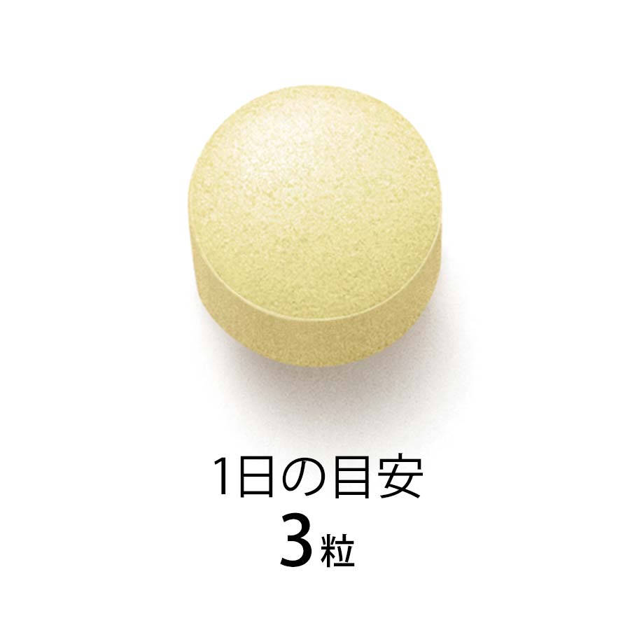 FANCL ファンケル ビタミンC 30日分 90粒 4908049491895